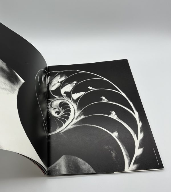 Six Number 2 COMME des GARCONS - りーちあーと