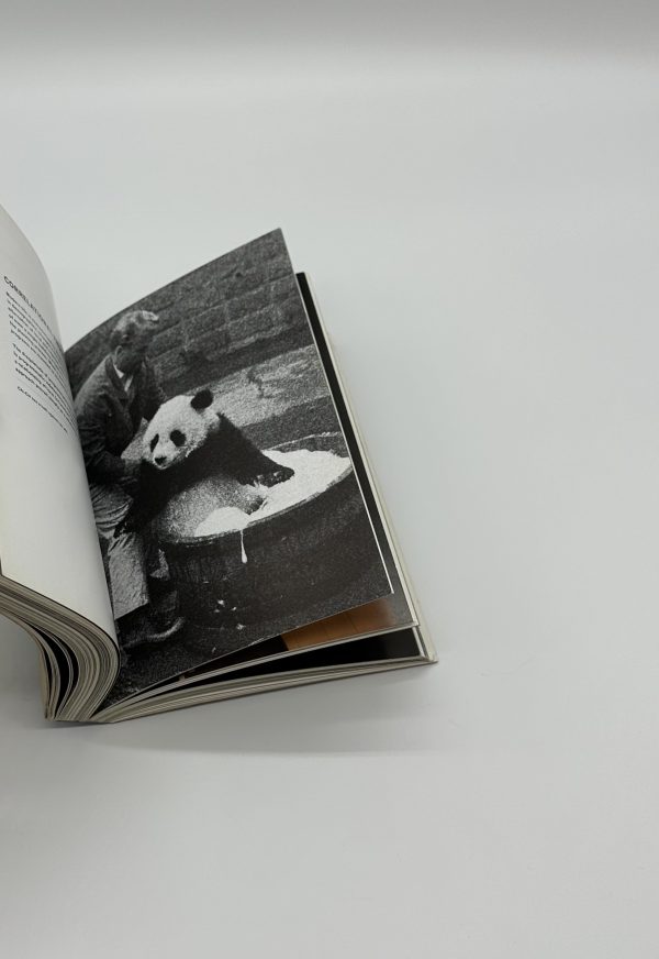 PARALLAX - りーちあーと