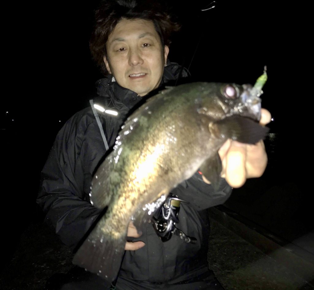 RealCrescent RC-65 メバル・プラッギングレポート | リップル