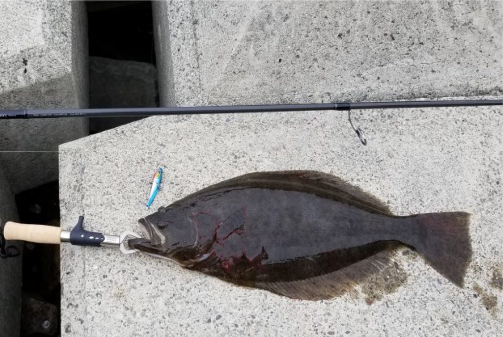 SilverStream 103Flows Nano 徳島県・ヒラメ 釣果報告 | リップル