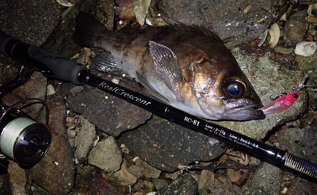 シーズン特集】vol.8 「リアルクレセント・シリーズコンセプト解説