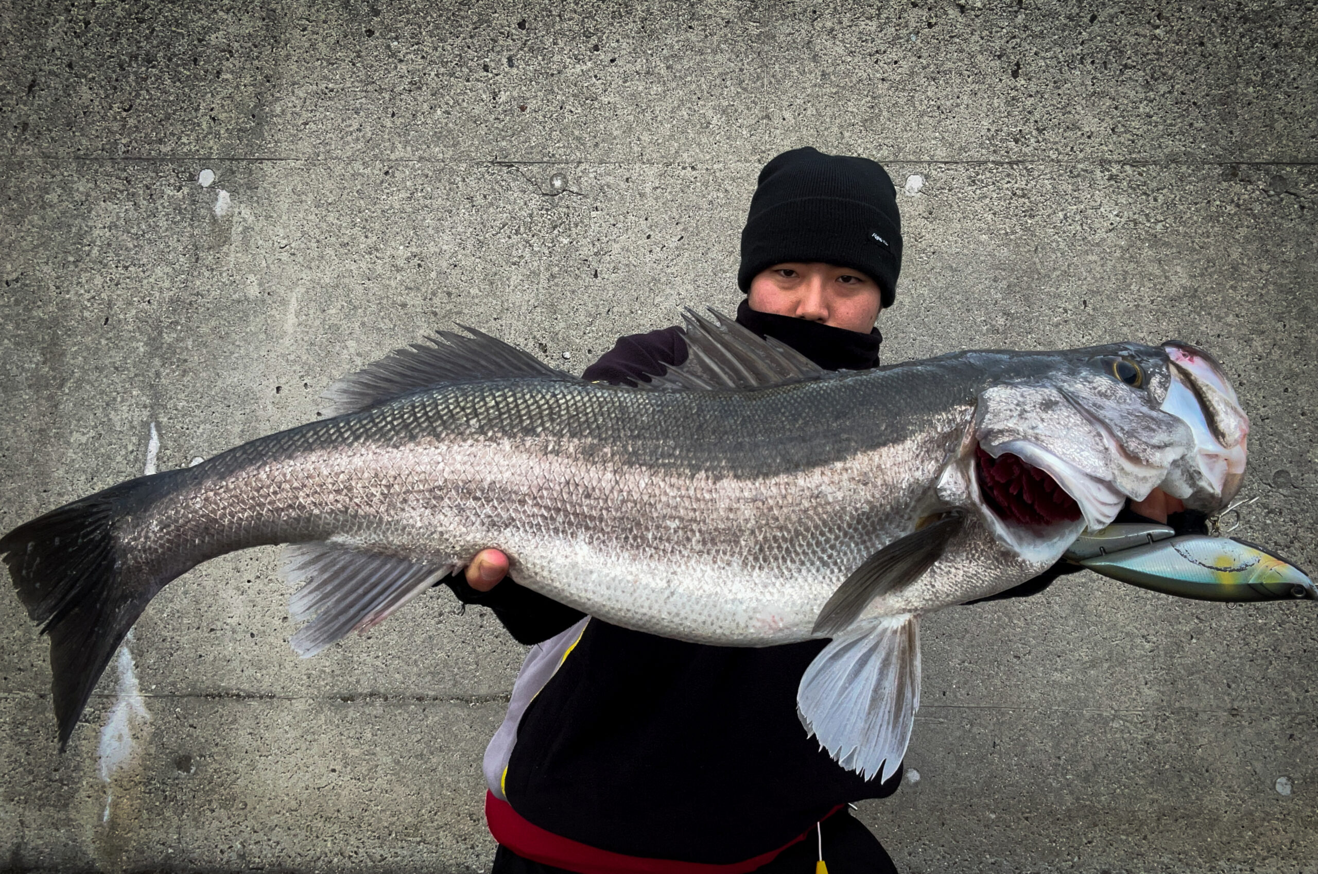 RippleFisherリップルフィッシャー