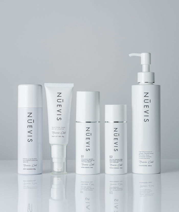 定期便]シャイニースキンDXセット 約42%OFF – リッツビューティーショップ