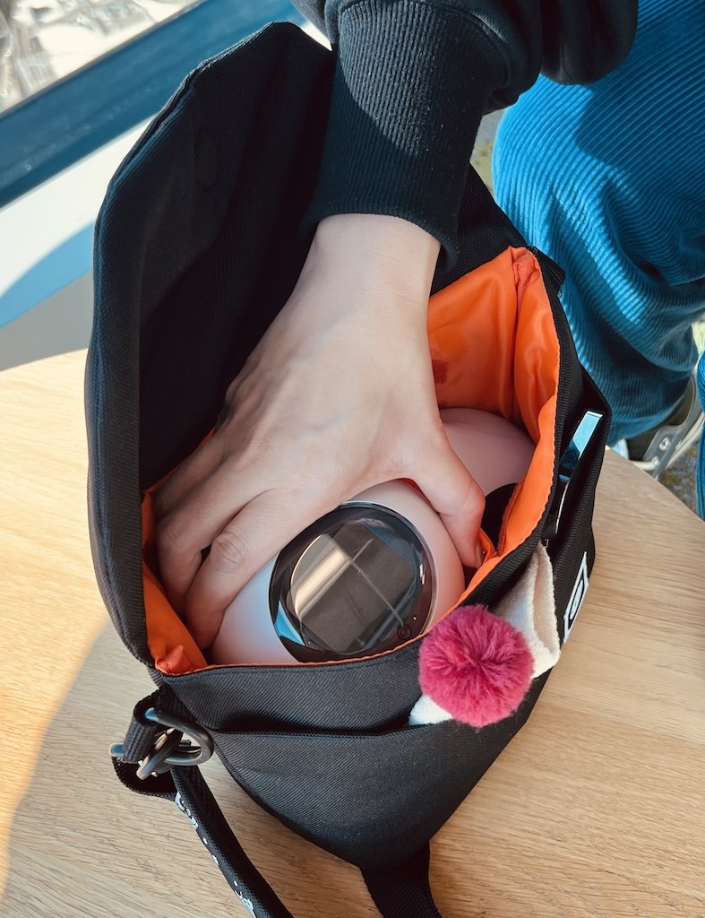 Romiの豆ちしき】おでかけバッグの再紹介とLacatanモデルの視覚機能