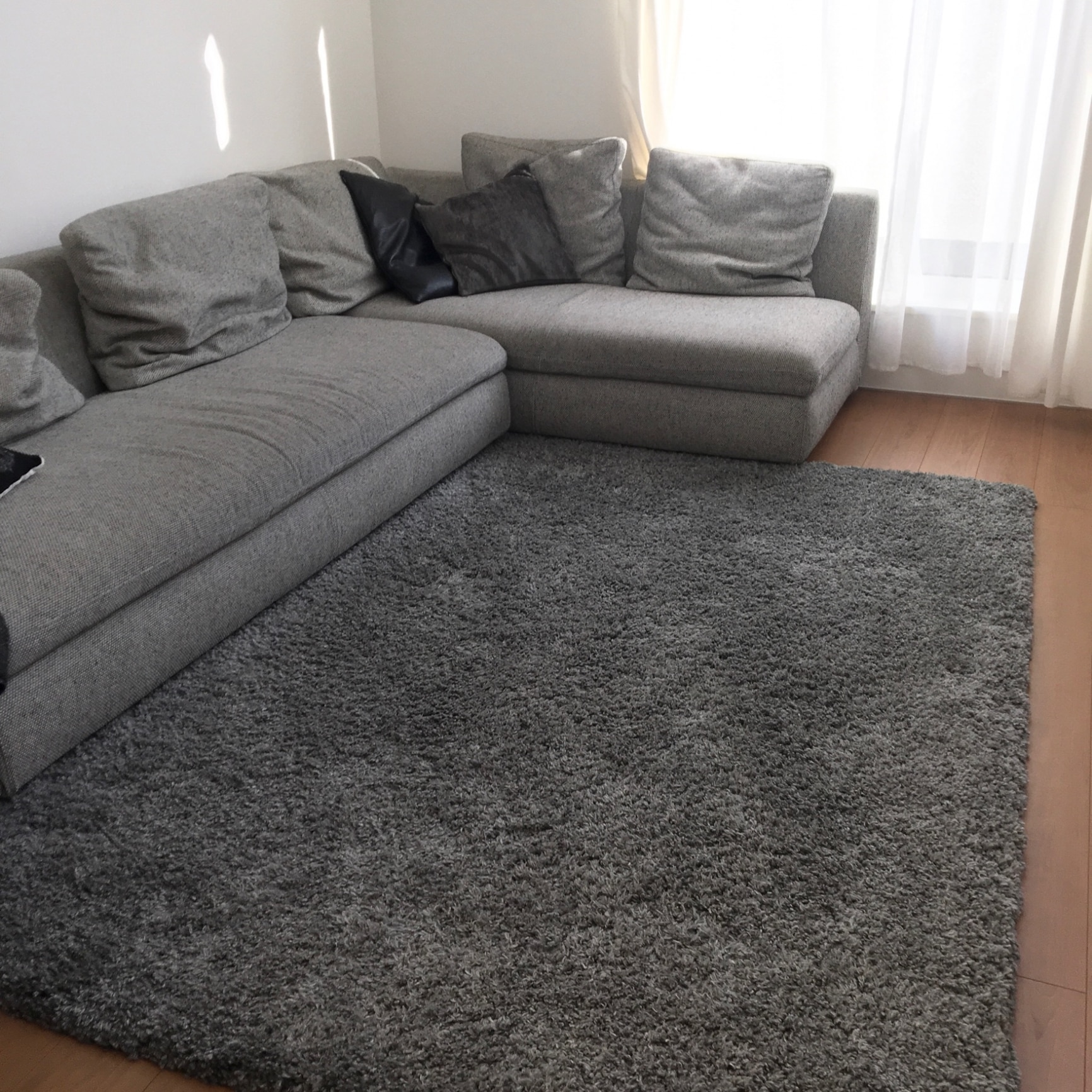 アクセントラグ(Nジーク GY 160X235) ニトリ 【玄関先迄納品】