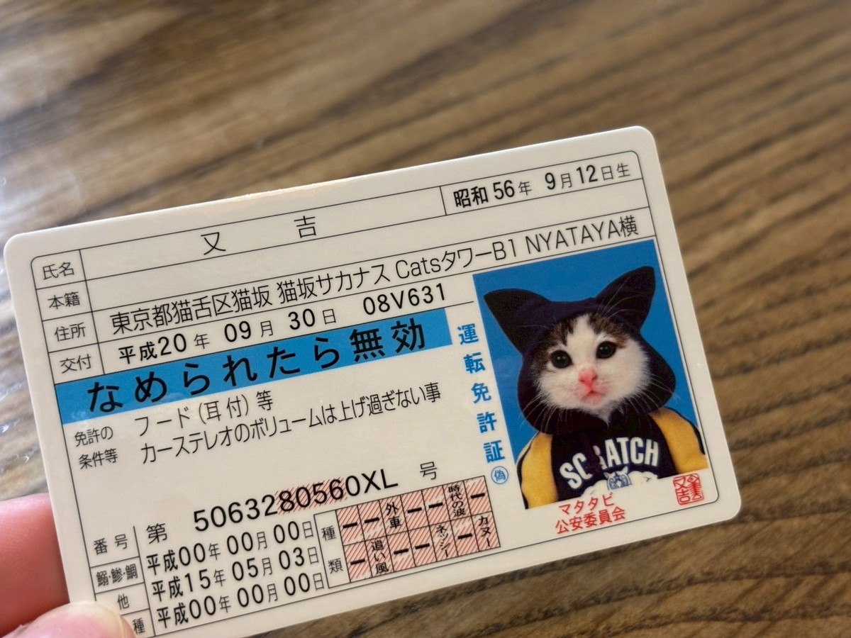 懐かしすぎる】昭和の名作「なめ猫」が今も健在だったので、カード