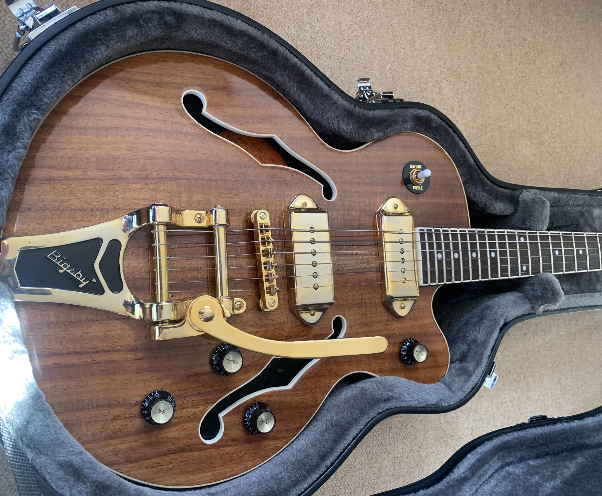Epiphone Widkat Limited Edition Koa with Bigsby and Hardcase