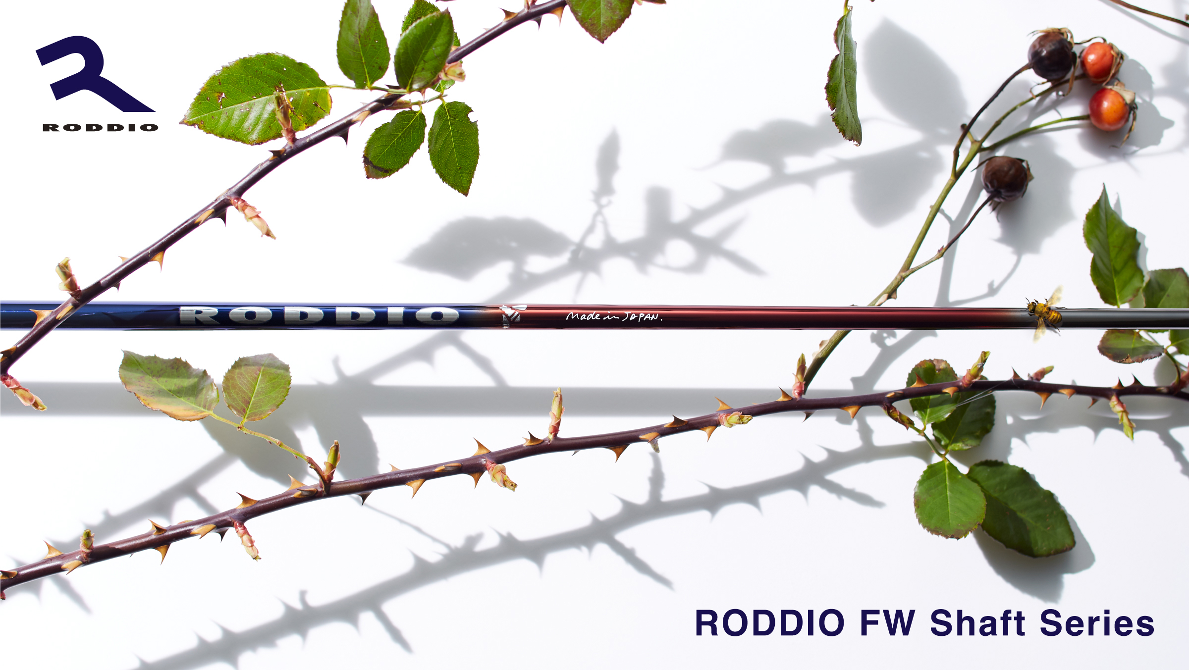 Roddio,ロッディオ | RODDIO