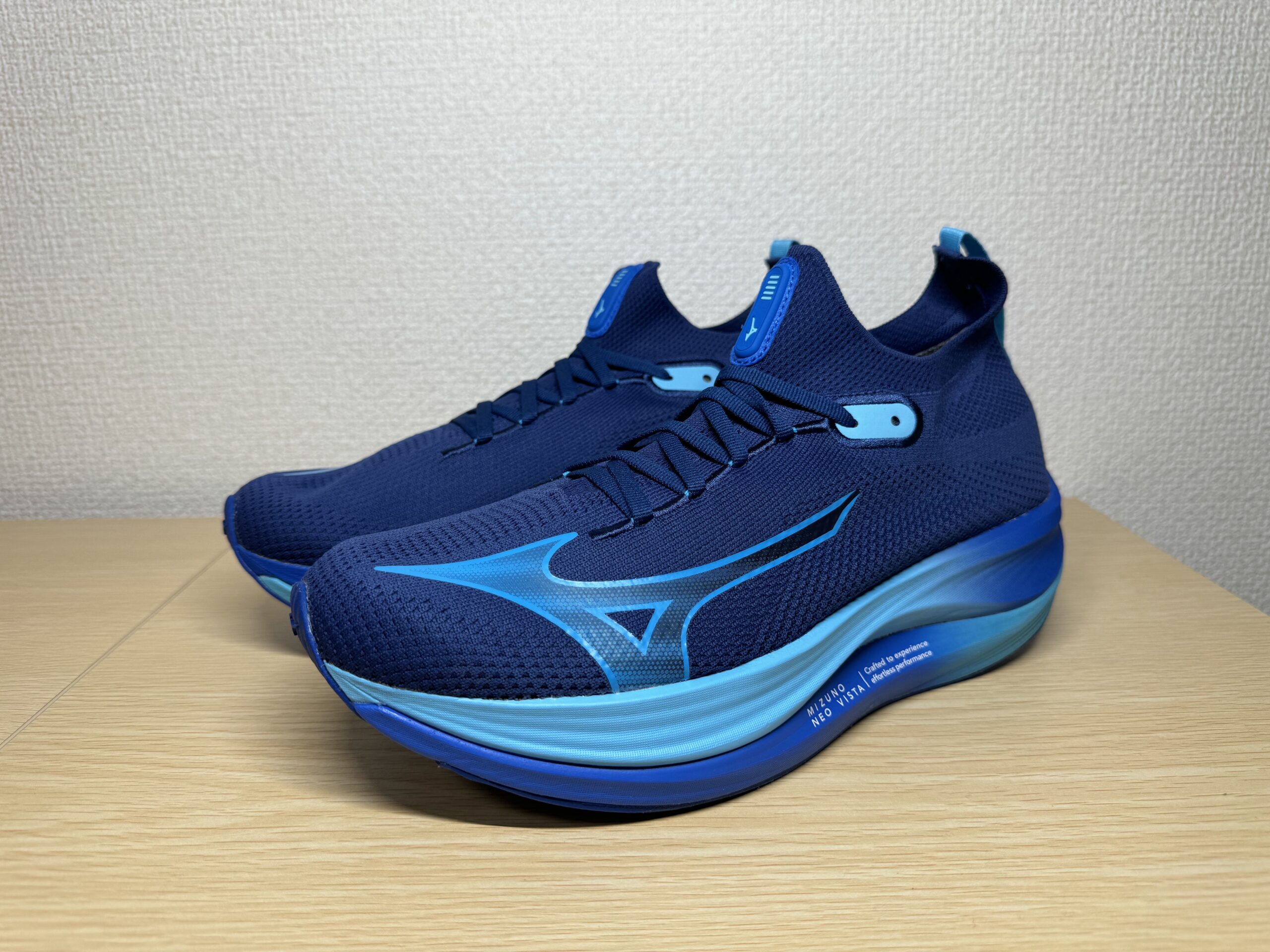 レビュー】ミズノ ネオビスタ 多彩なジョグシュー | ランハイク