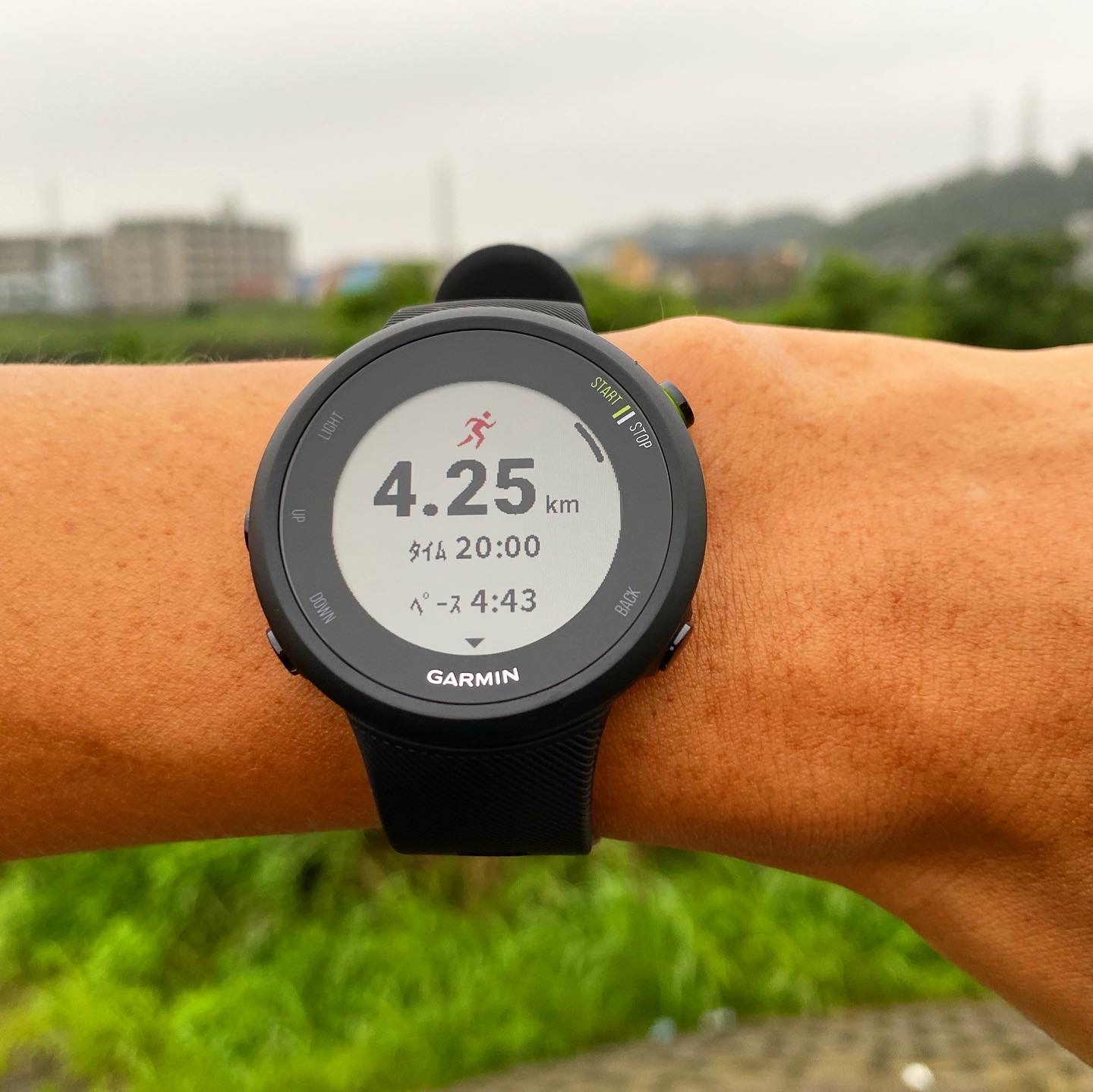 ガーミン「ForeAthlete45」完全レビュー – runstagramer (ランスタ