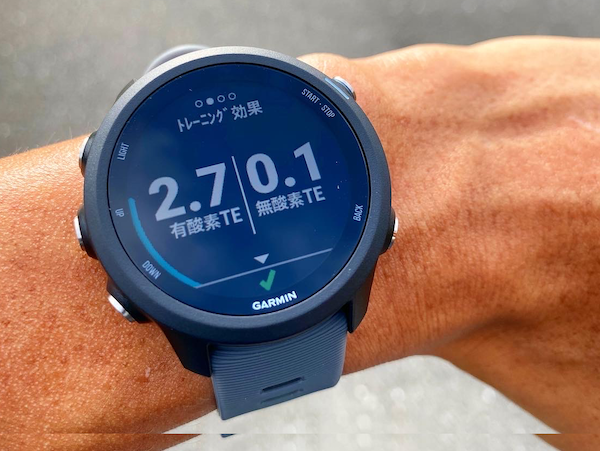 2022】ガーミン245はコスパとデザイン性が最強のオススメモデル