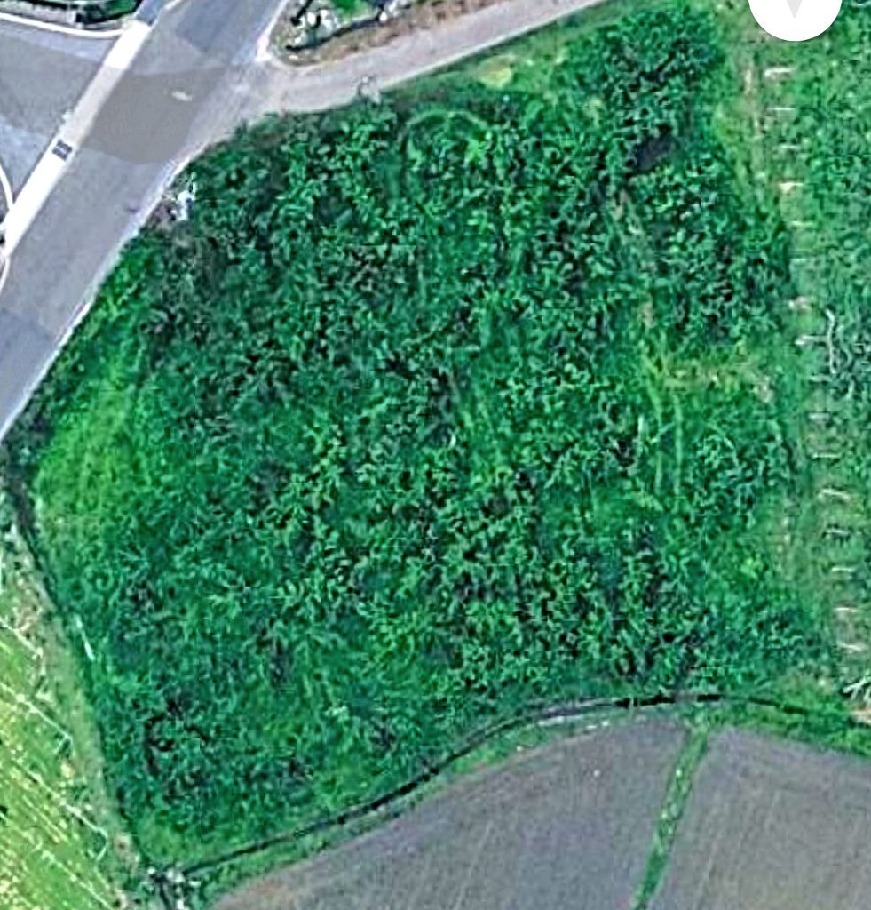 在庫確認中」のYahoo!リアルタイム検索 - X（旧Twitter）を