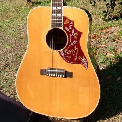 Castilla Hummingbird 1975 Sunburst | Reverb