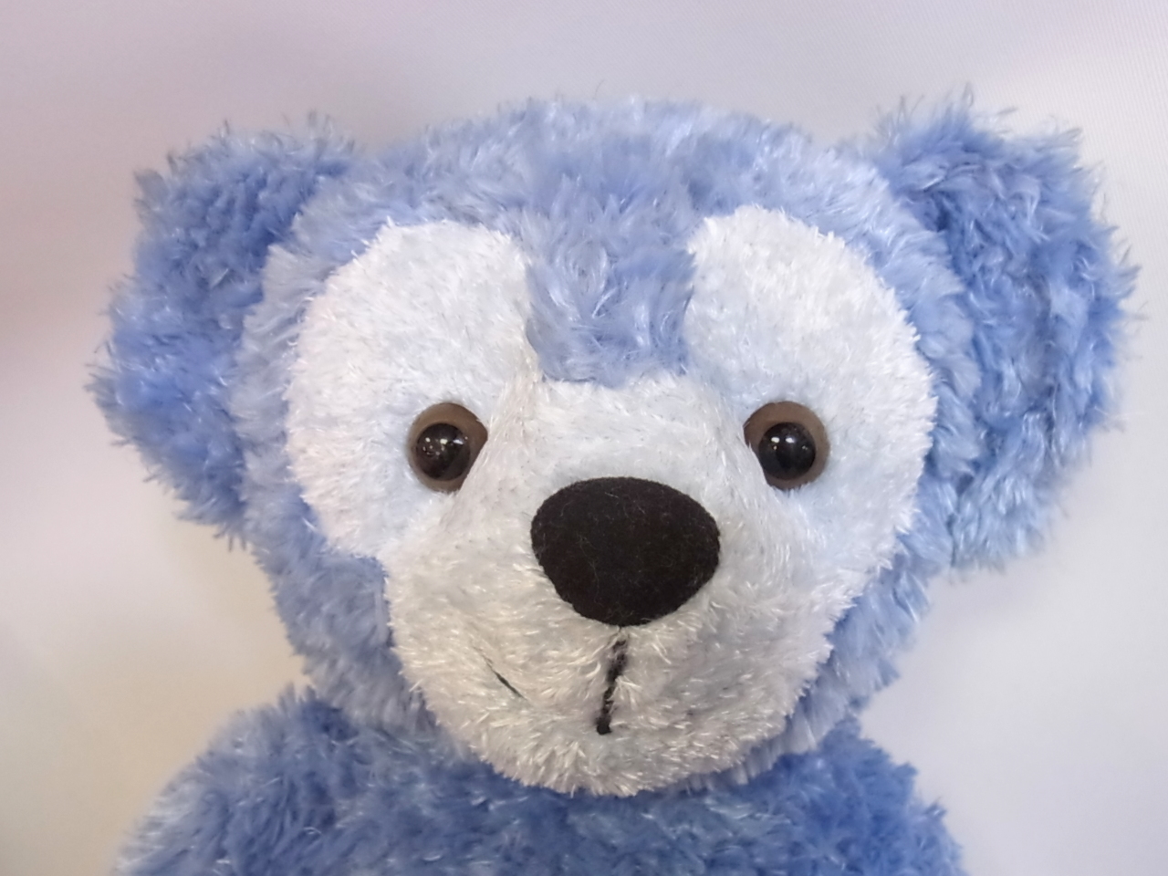 ディズニーベア ダッフィー ビバリーホワイトサイン入り 2008年 270体