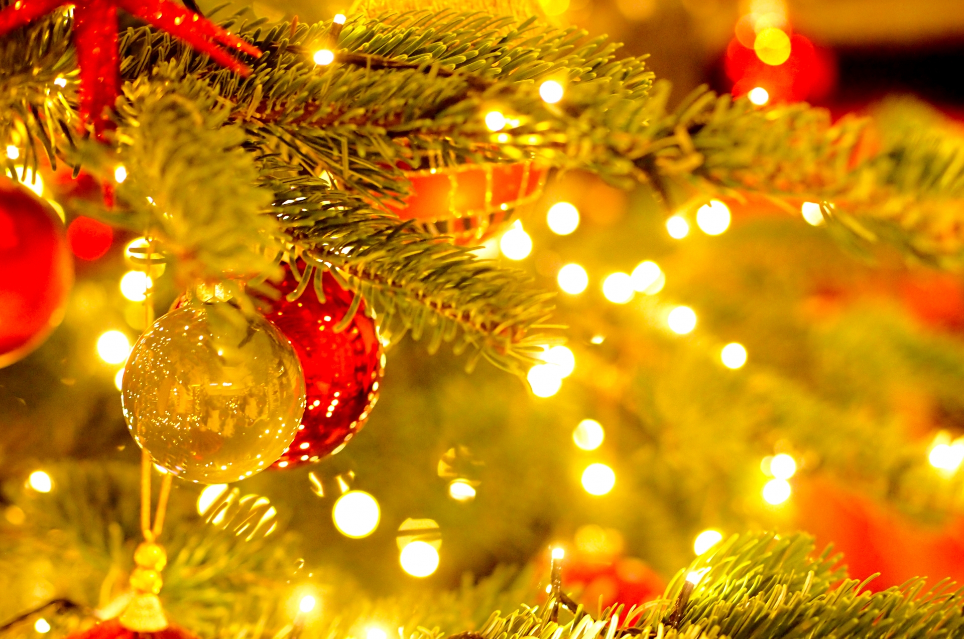 SAPIX5年12月マンスリーでおさえるべきポイント!算数編