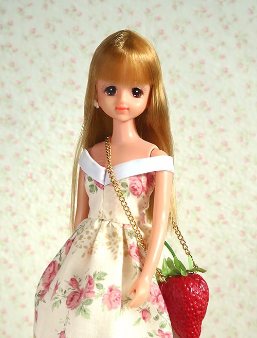 ジェニー・ゴールデン・ヒストリーが届いたのでコンプリート・ファイル