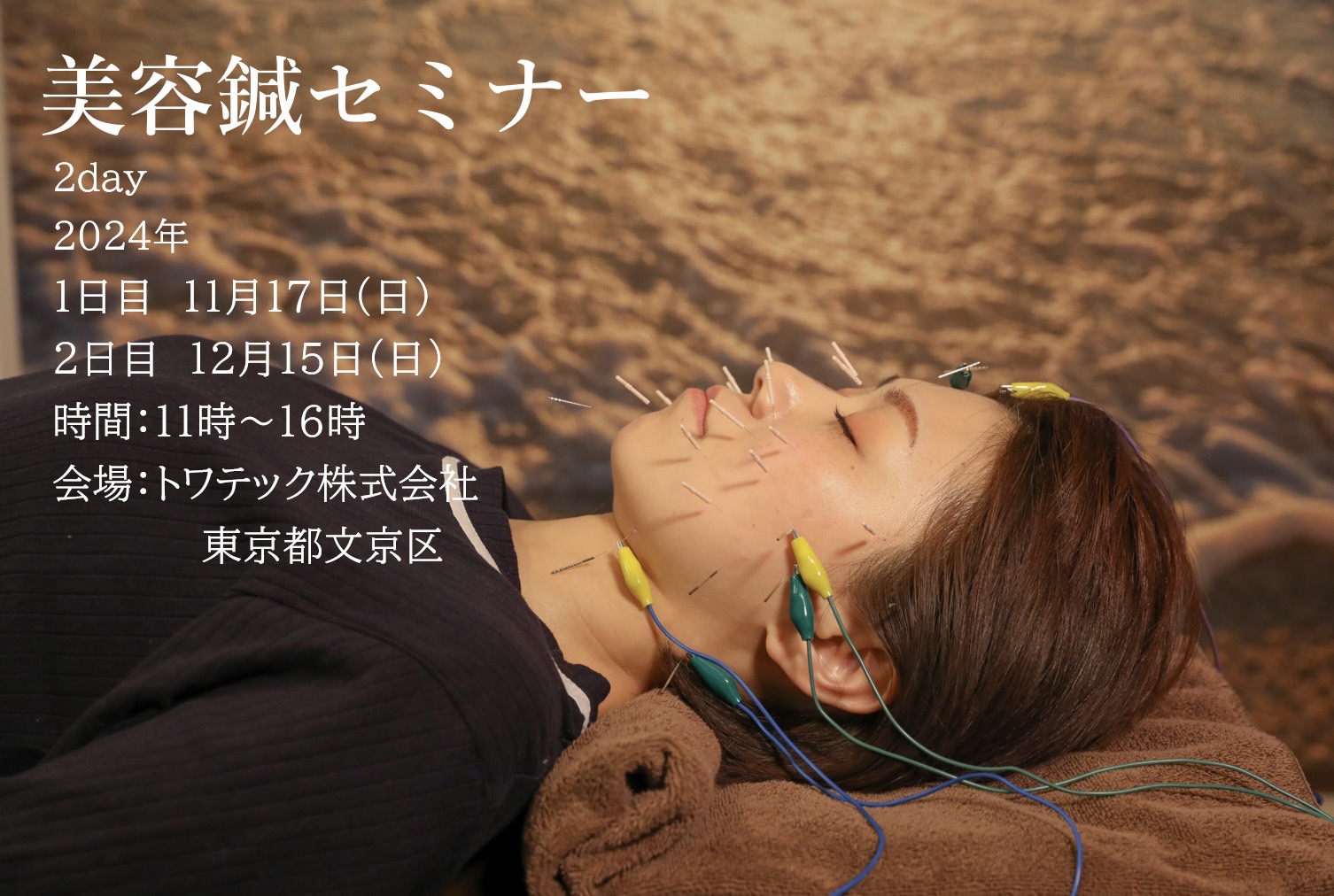 11月17日/12月15日美容鍼セミナーのご案内 - 斉藤鍼温灸マッサージ院