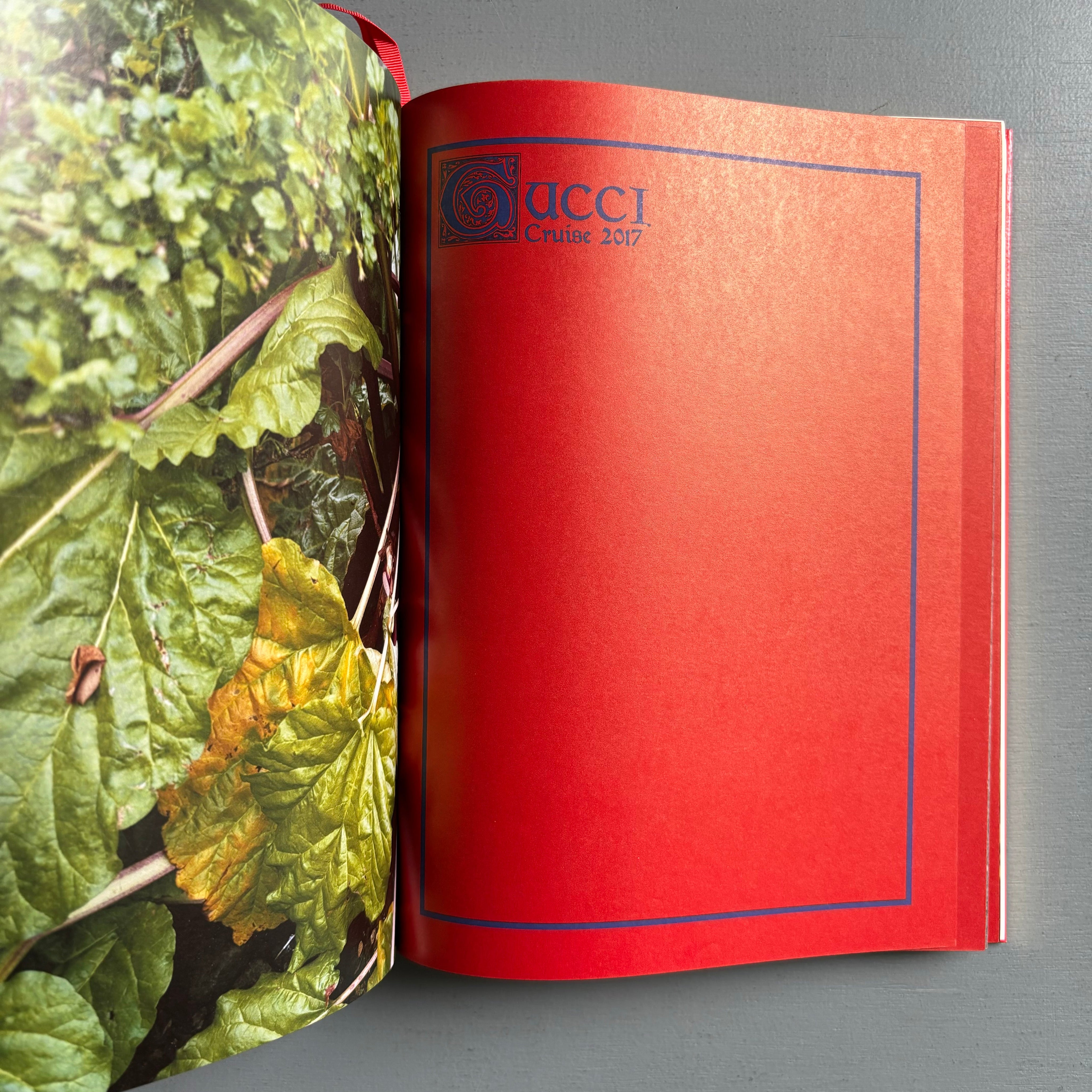 Gucci_-Blind-for-Love-Nick-