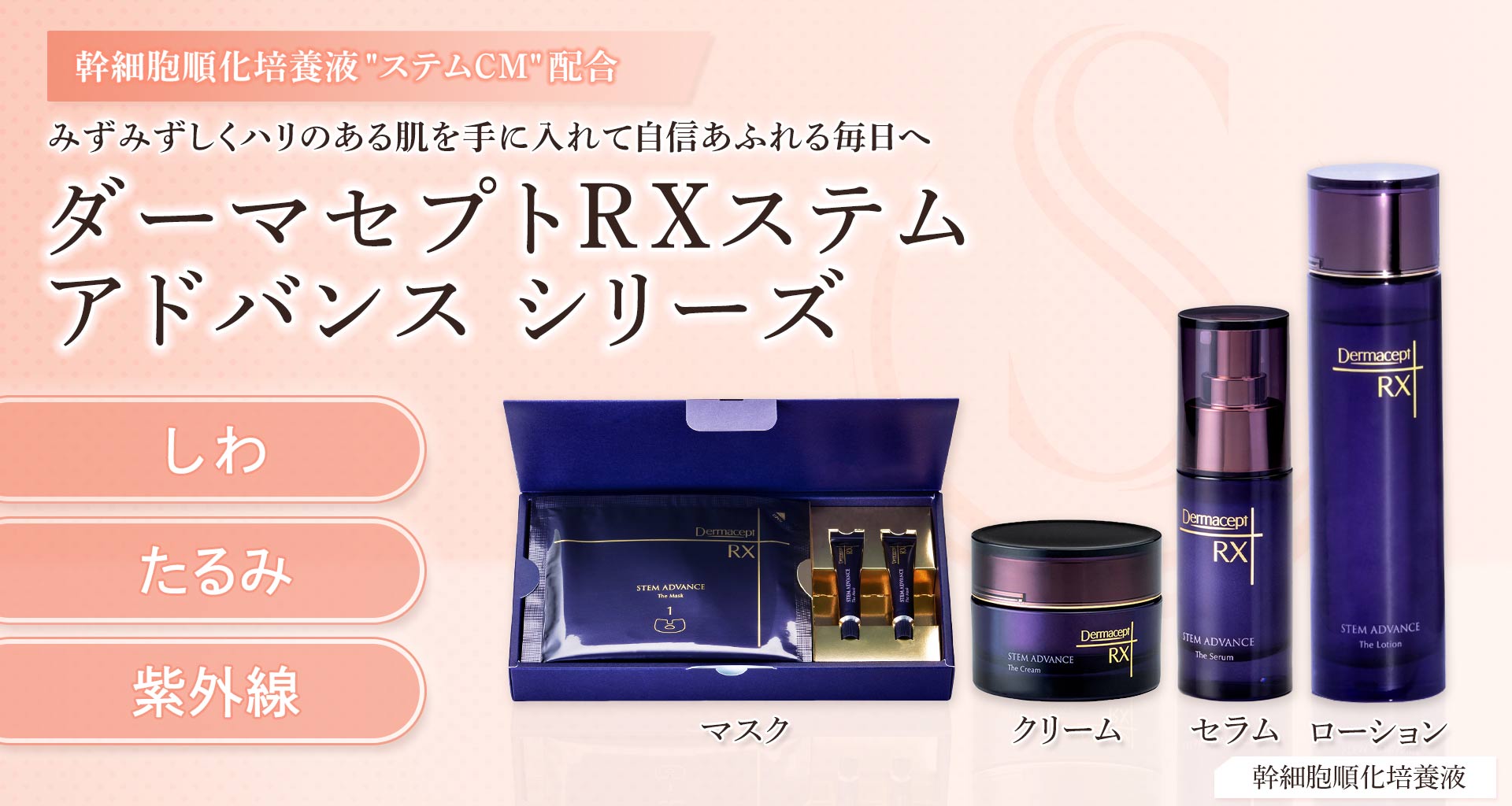 ダーマセプトRX ステム アドバンス シリーズ｜施術一覧｜聖心美容