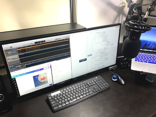 34WL750-B レビュー｜高コスパの34インチウルトラワイドモニター