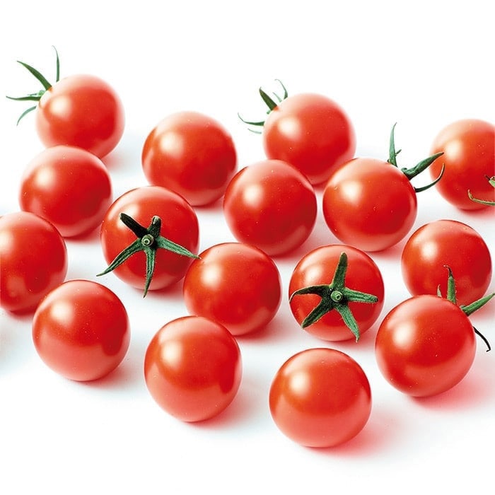 ミニトマト キャロルポポ 接木苗｜種（タネ）,球根,苗,資材