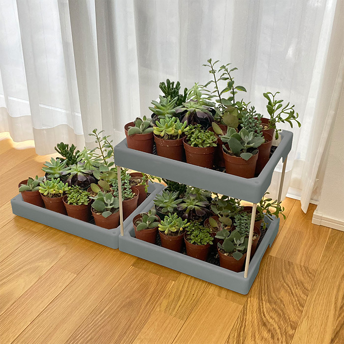 多肉マンション｜種（タネ）,球根,苗,資材,ガーデニンググッズの通販は