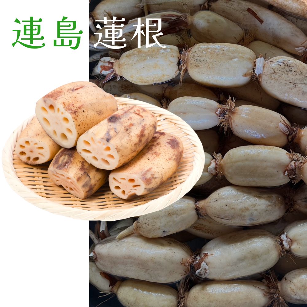 佐々木農産連島農場オンラインショップ / レンコンの通販