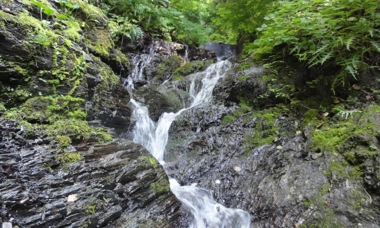 宇宙の神秘を直接感じられる全国のゼロ磁場スポット | SATORI電話占い