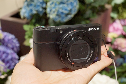 DSC-RX100M3 レビュー『欲しかった機能を詰め込んだ3代目』 ソニー