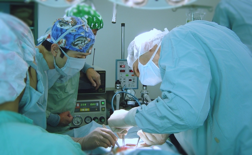 手術専門動物病院｜動物手術センター | 犬、猫、うさぎ、ハムスター