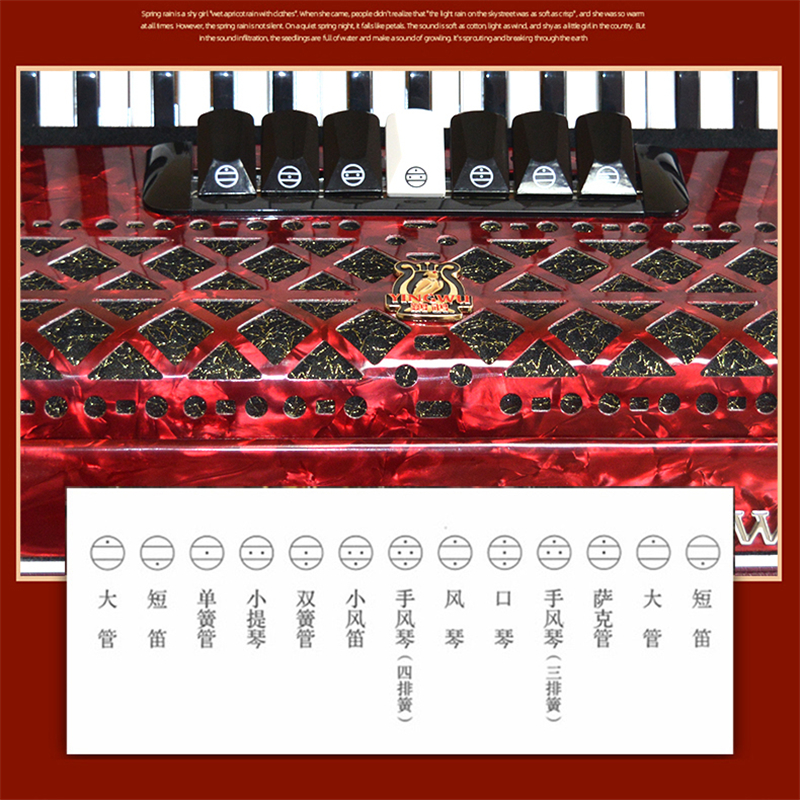 YW871 Parrot 37鍵96バスキーボードアコーディオン（黒、赤、青など）