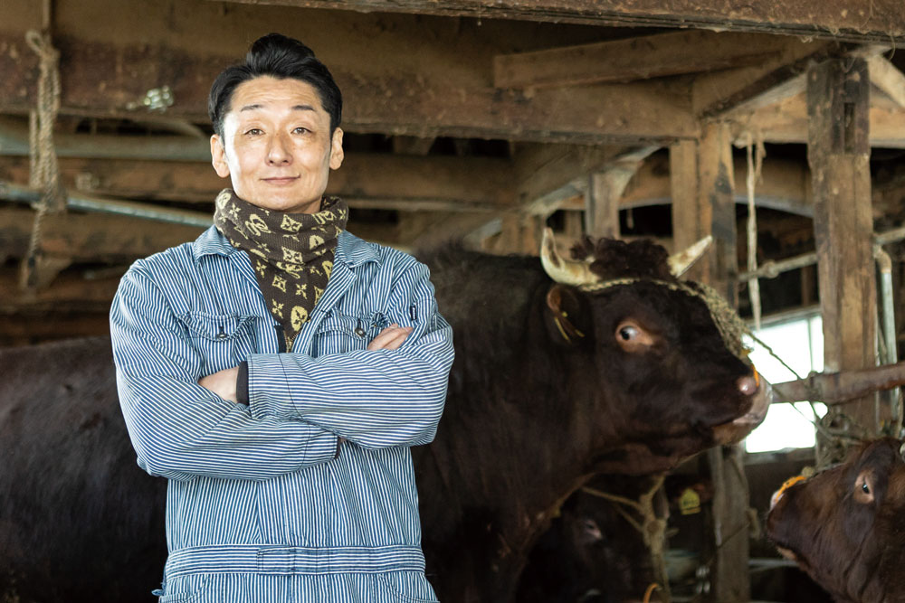 牛が運ぶ人とのつながり | シニアポケット - presented by シニアズ