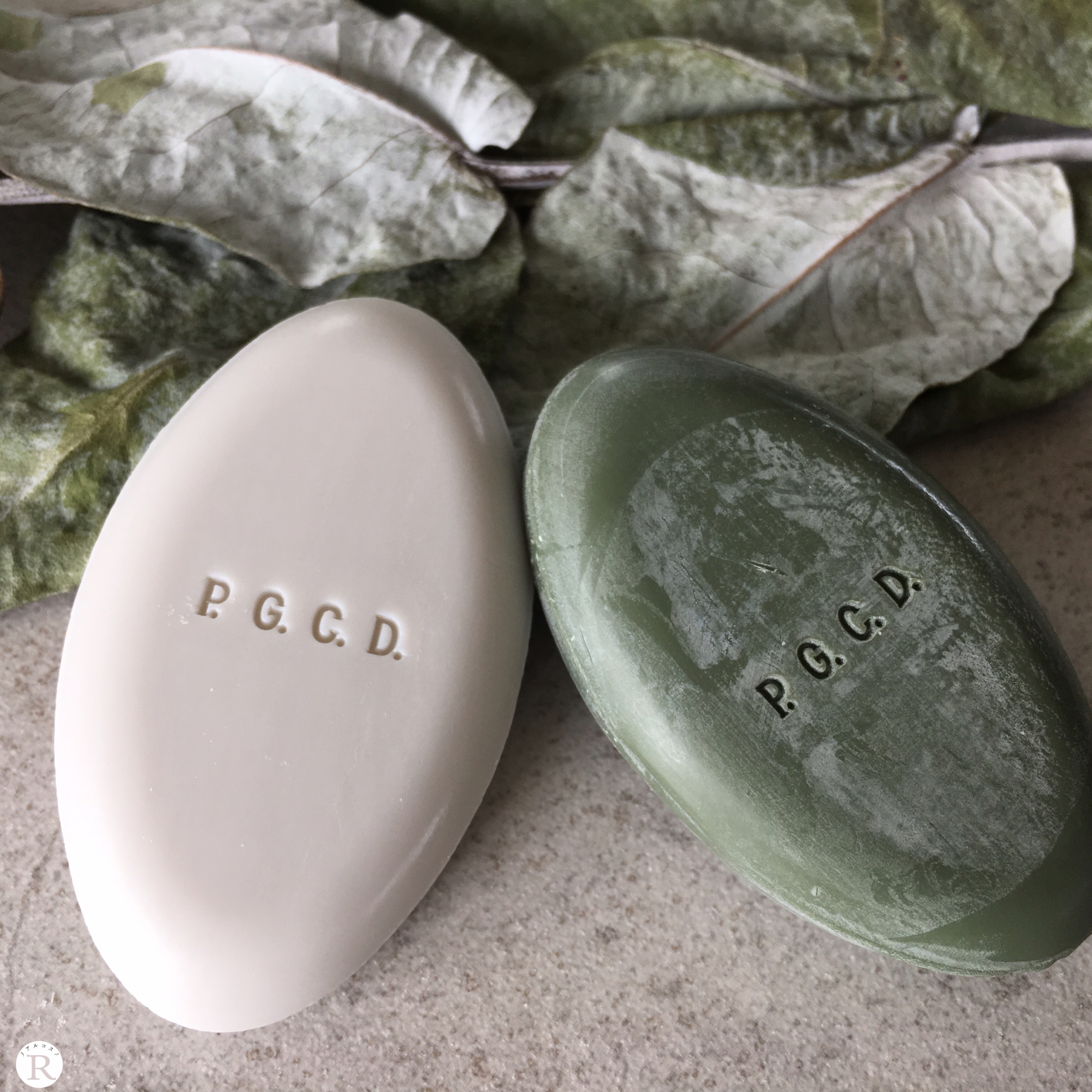 P.G.C.D.(ぺー・ジェー・セー・デー)を口コミより詳しくレビュー｜朝用