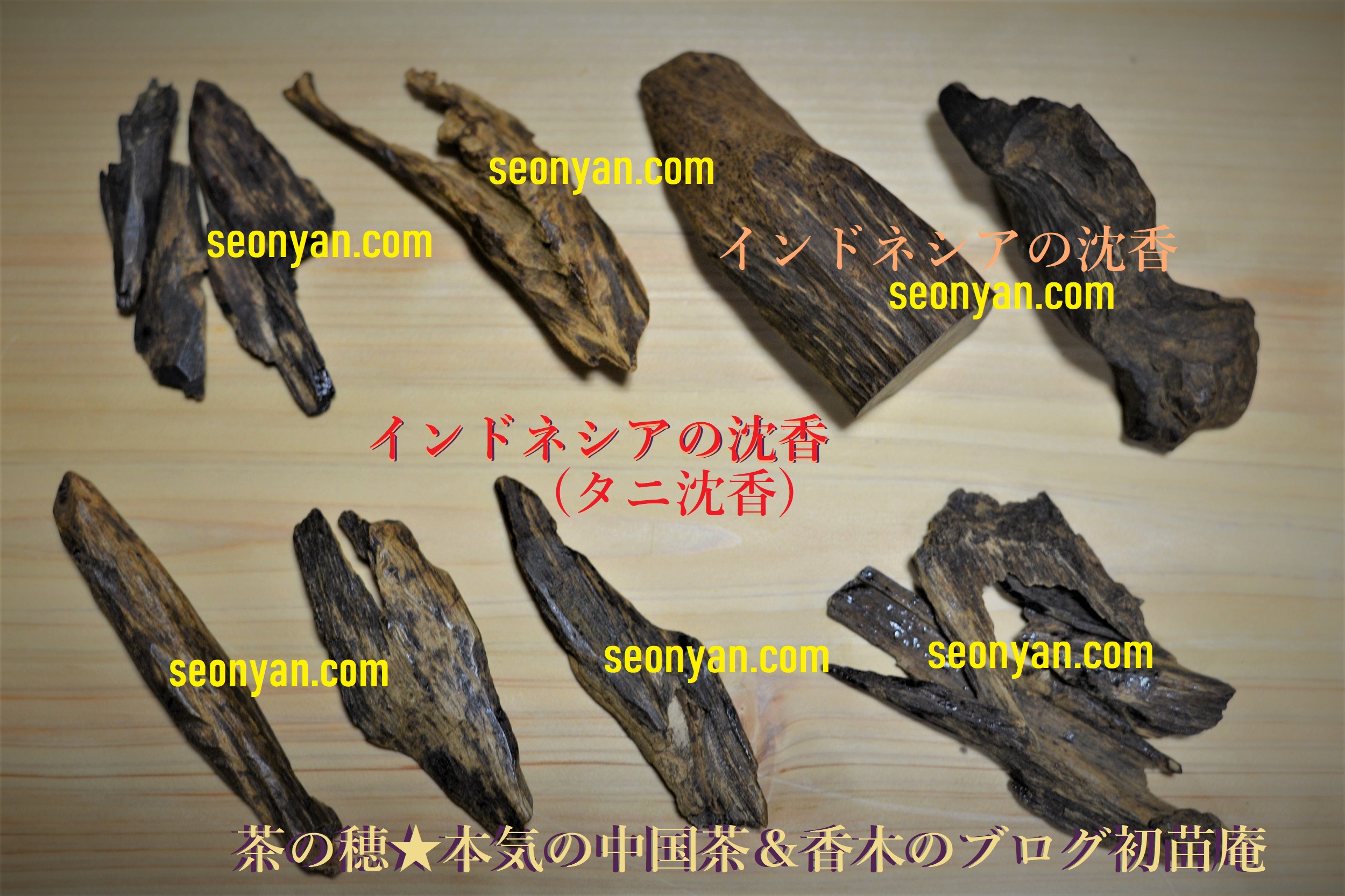 タニ沈香 インドネシア周辺の香木一覧と観察 | 茶の穂 香木と本気の茶