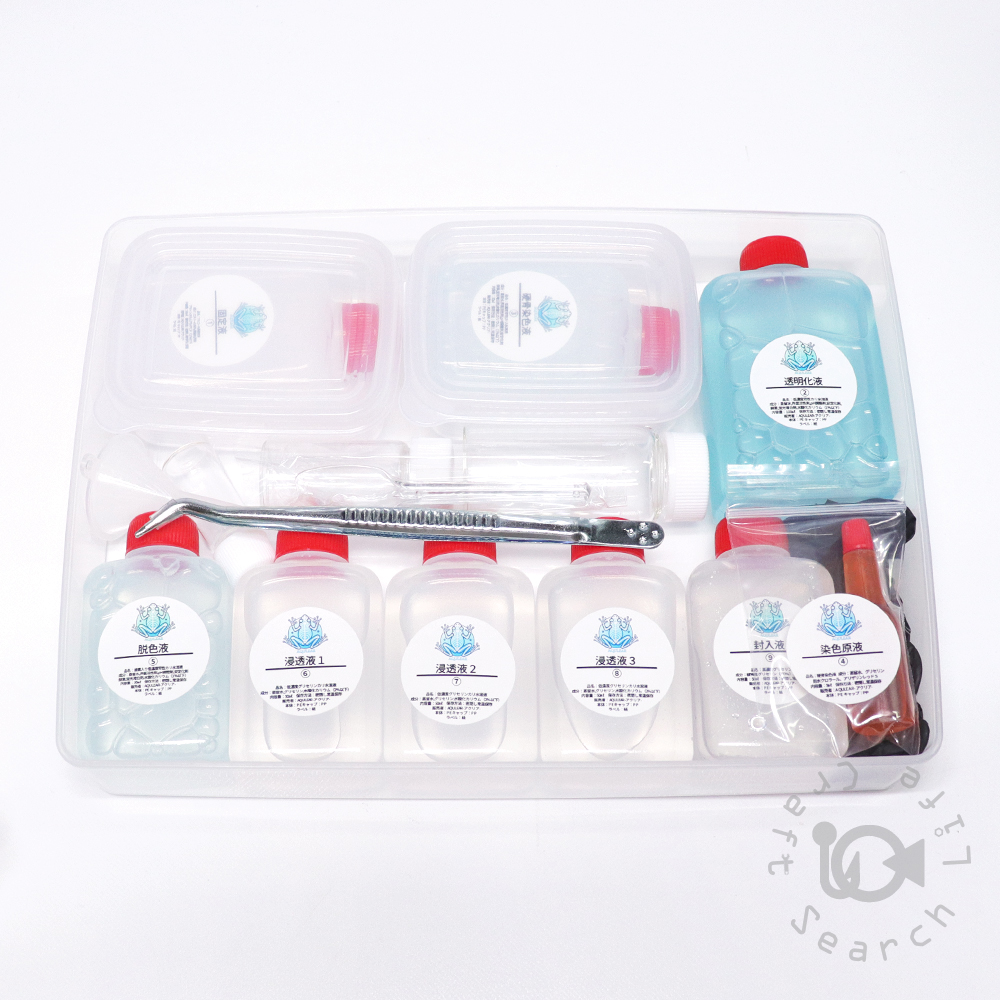 透明標本作製キット - 海水魚・小型水槽・人工ライブロック通販