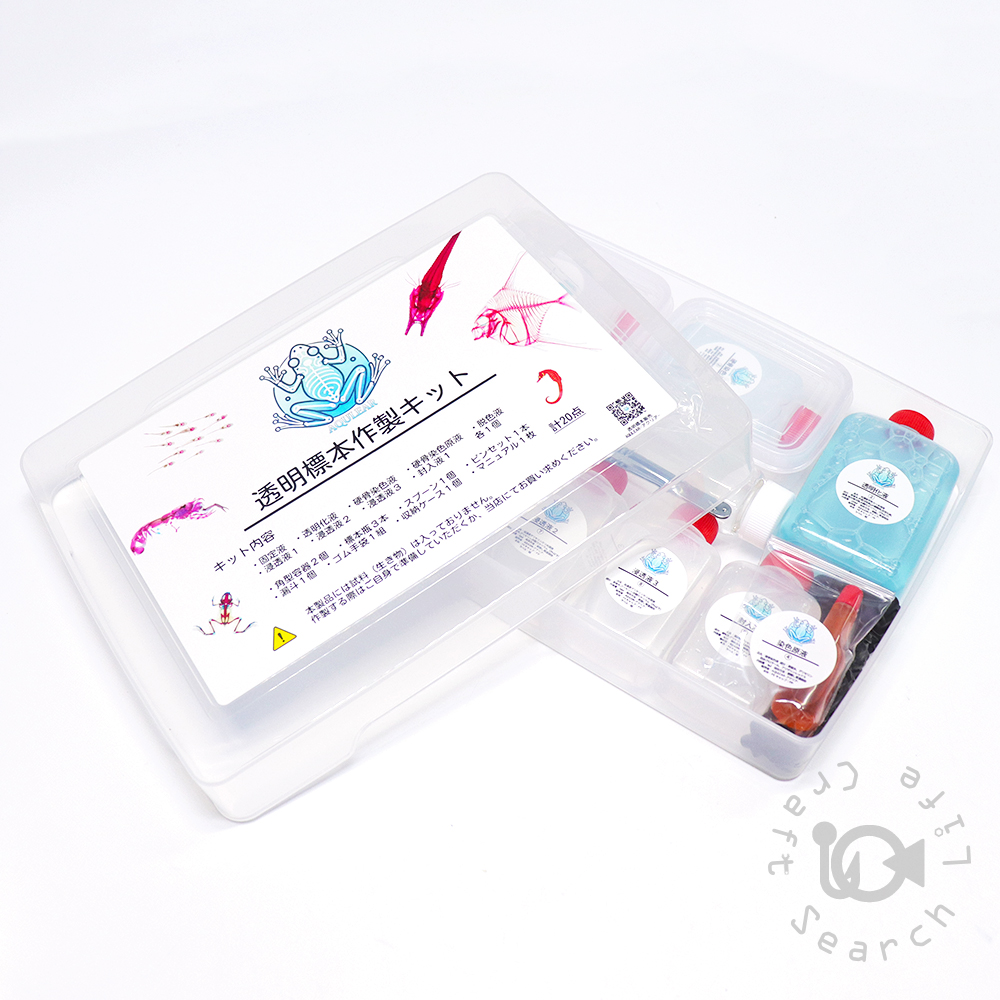 透明標本作製キット - 海水魚・小型水槽・人工ライブロック通販