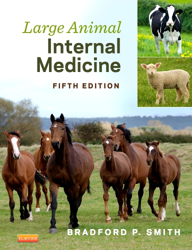 Large Animal Internal Medicine - 5th Edition | Elsevier Shop