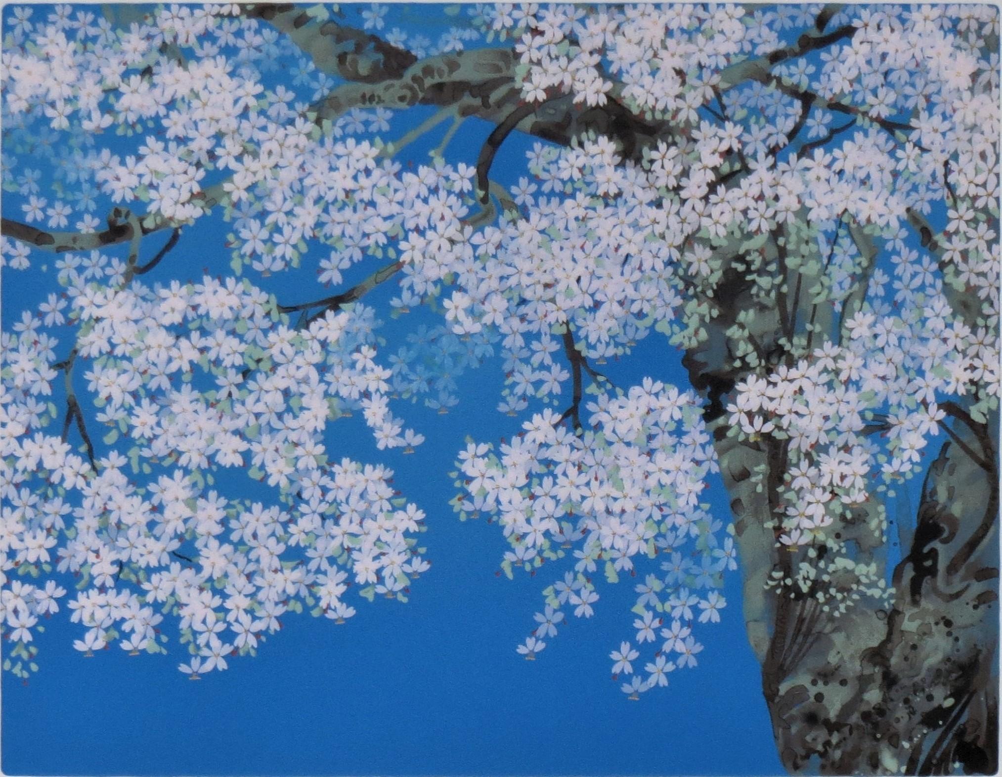 石割桜 | ｜正光画廊