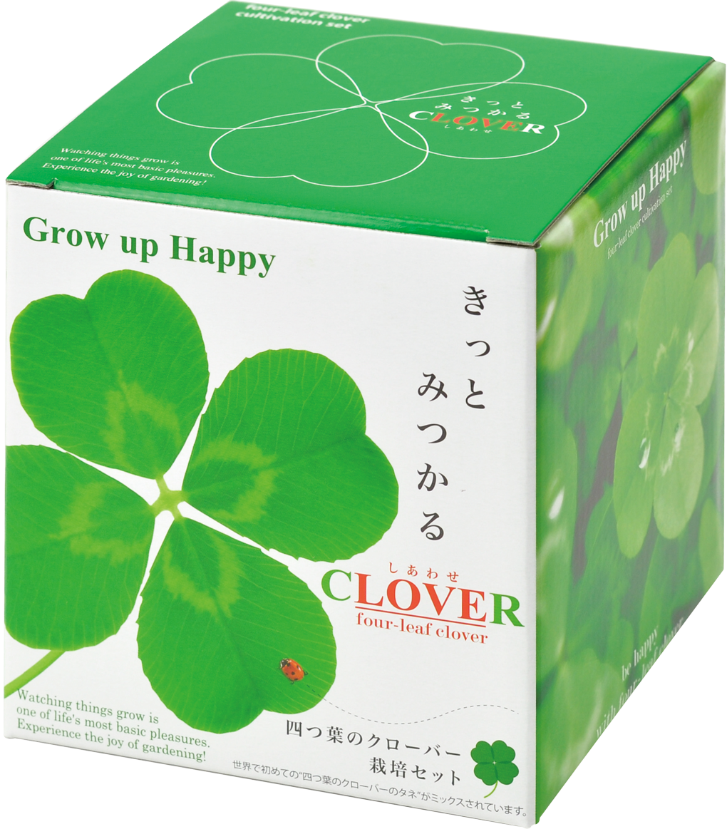 きっとみつかる四つ葉のクローバー栽培キット - 聖新陶芸株式会社