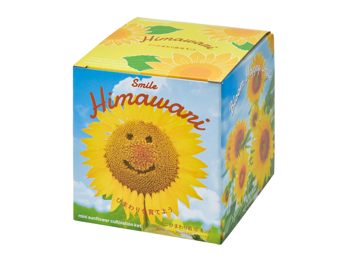 Smile Himawari ミニひまわり栽培キット - 聖新陶芸株式会社｜栽培