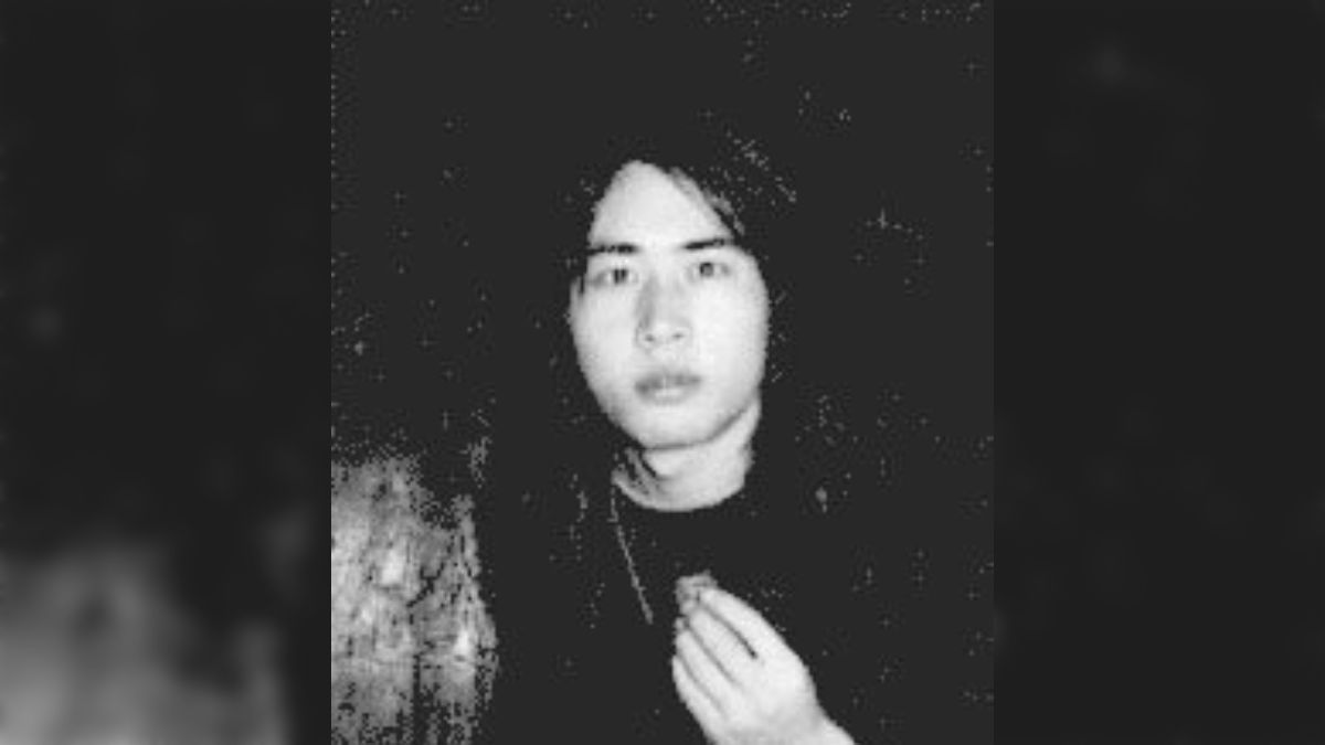 平沢進、MANDRAKEを振り返る - posfie