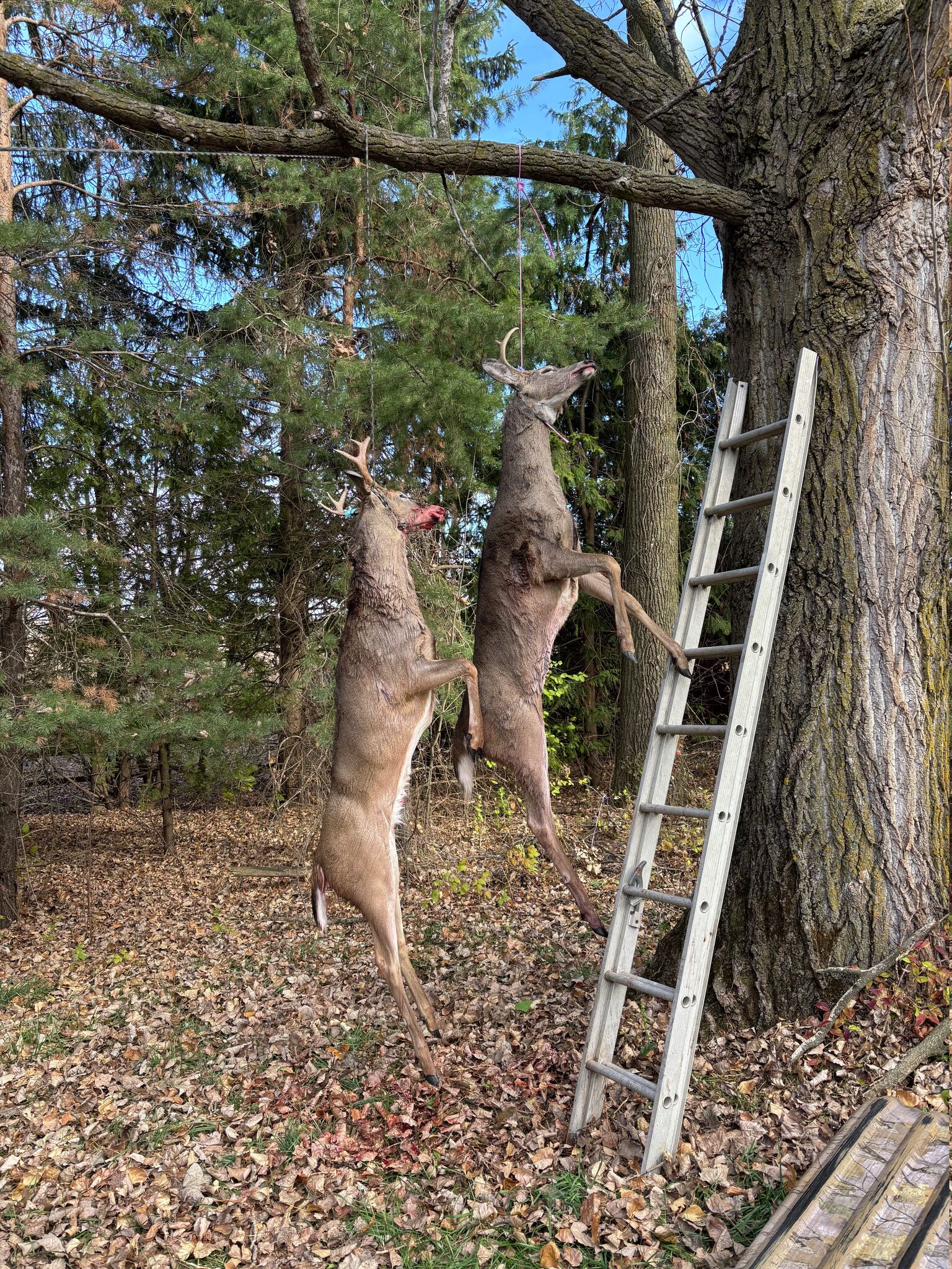 趣味・スポーツ・実用 John M. Miller Deer Camp 趣味・スポーツ・実用