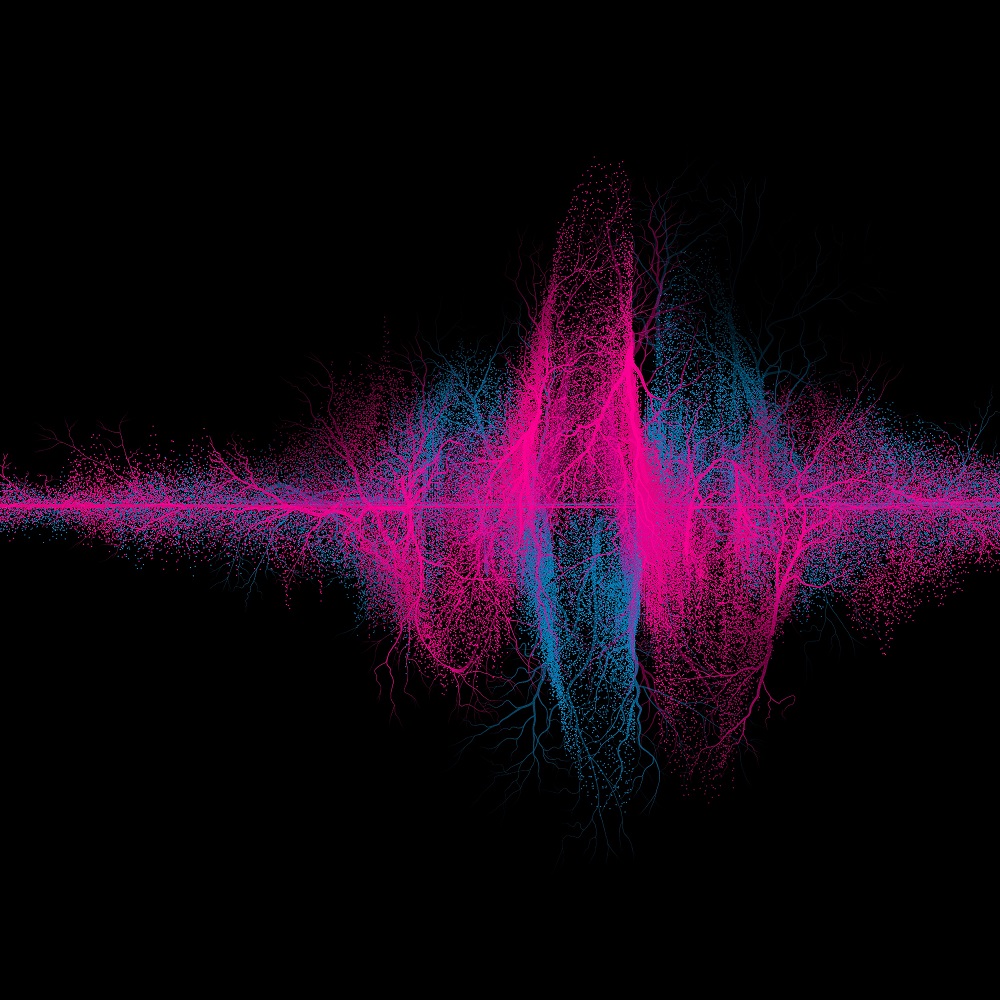 音楽｜SUPER BEAVER OFFICIAL SITE｜SUPER BEAVER 友の会