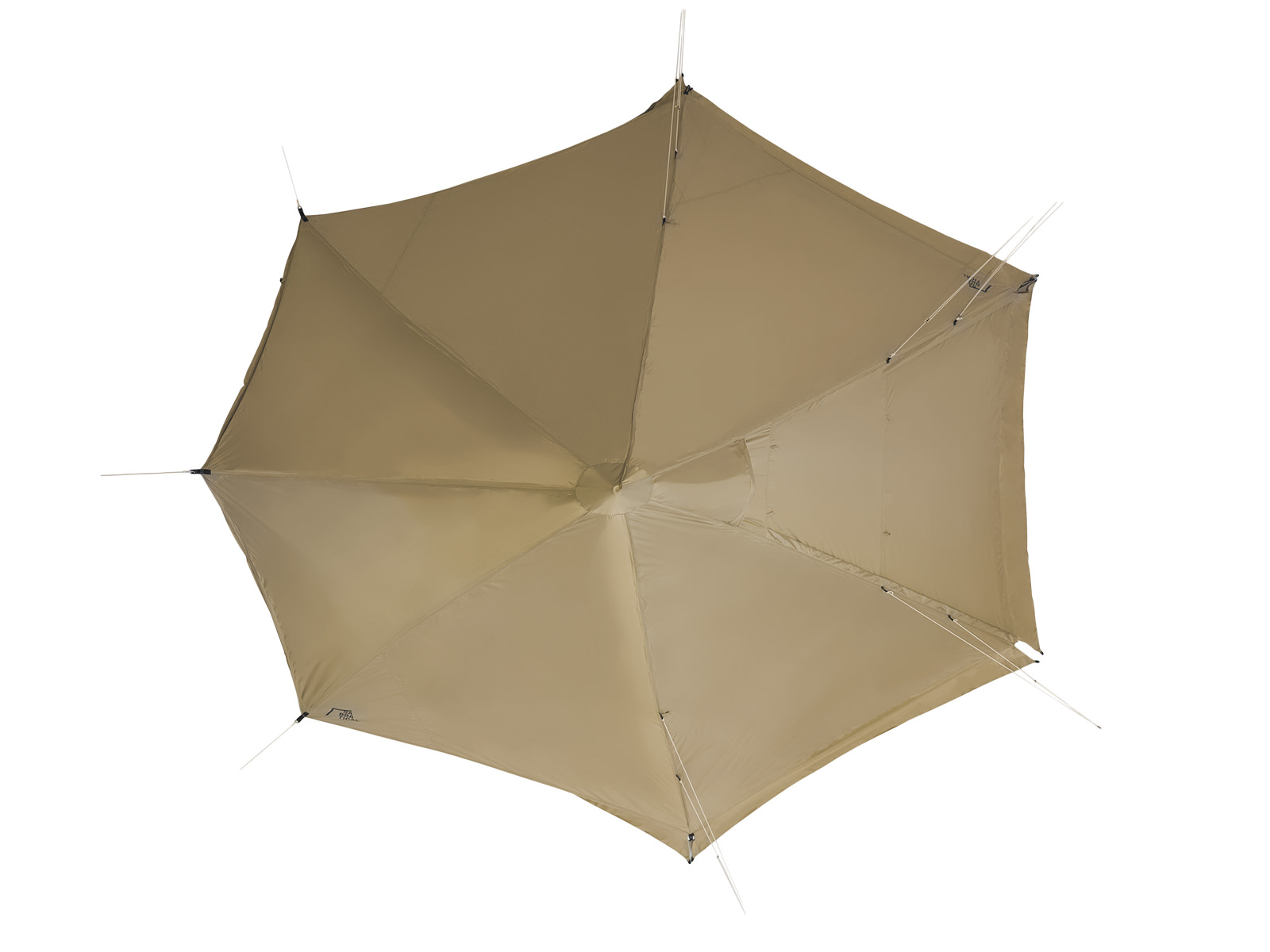 モーニンググローリー シンセティック - 地球の、道具。サバティカル