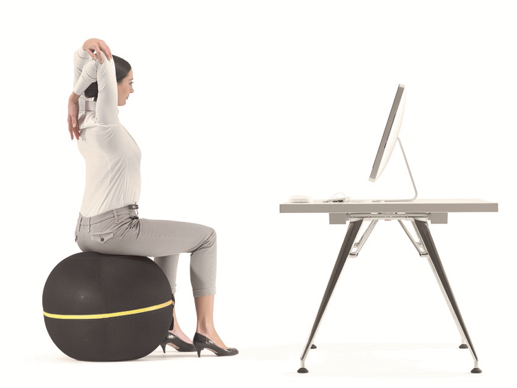 従業員の健康を促進 Wellness Ball Active Sitting | テクノジム
