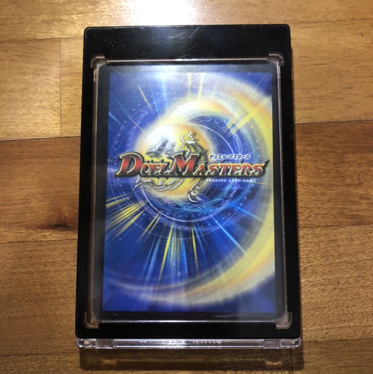 もしこのエラーカードを買うとしたらいくらつけますか？ 1枚の通販