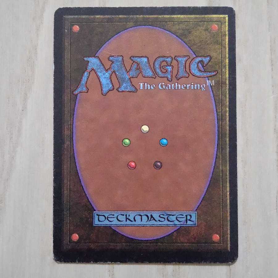 MTG 島 ベータ beta 1枚の通販 エルコンドル（128858349） | magi