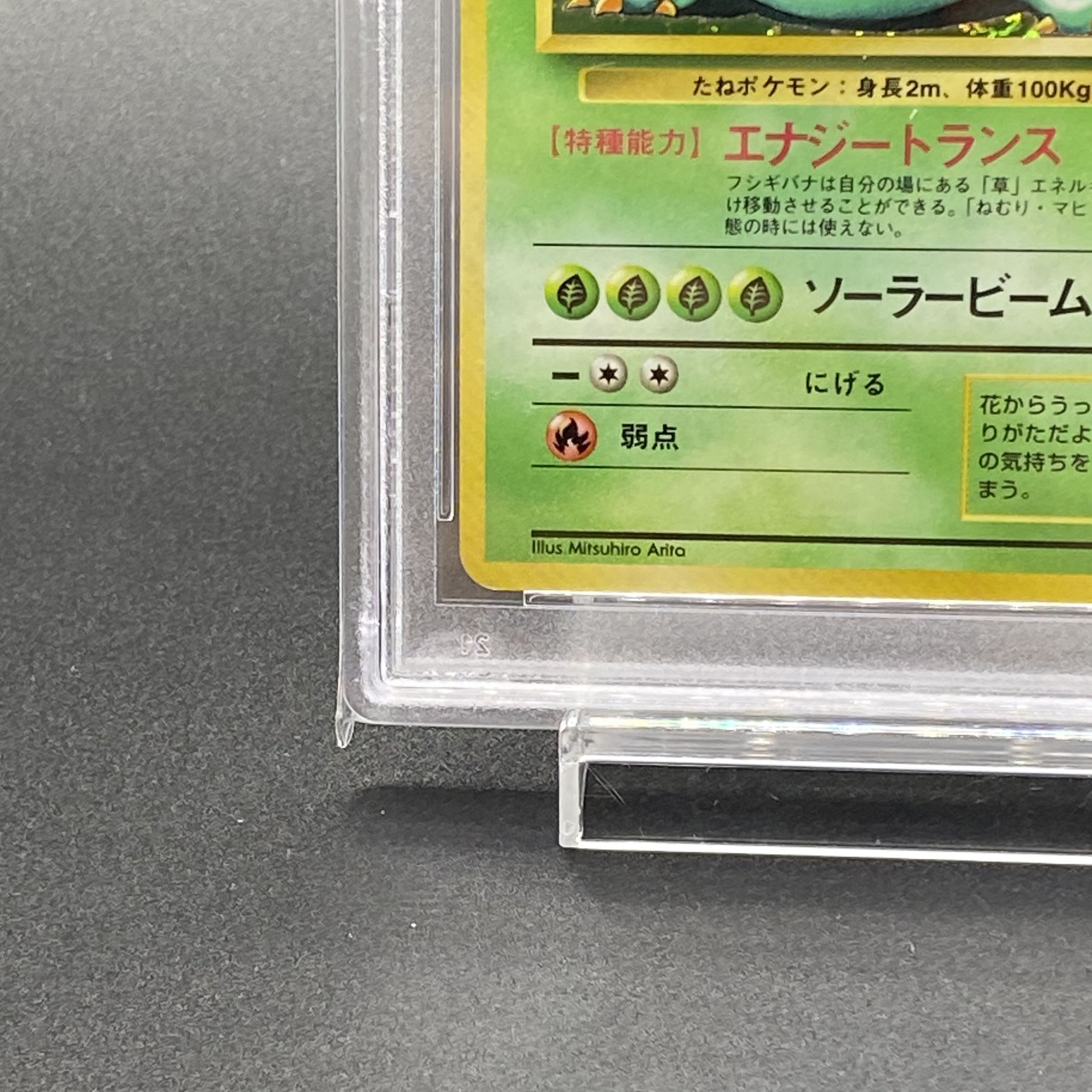 PSA8】フシギバナ 旧裏 初版 マークなし 1枚の通販 土日祝休 magi公式