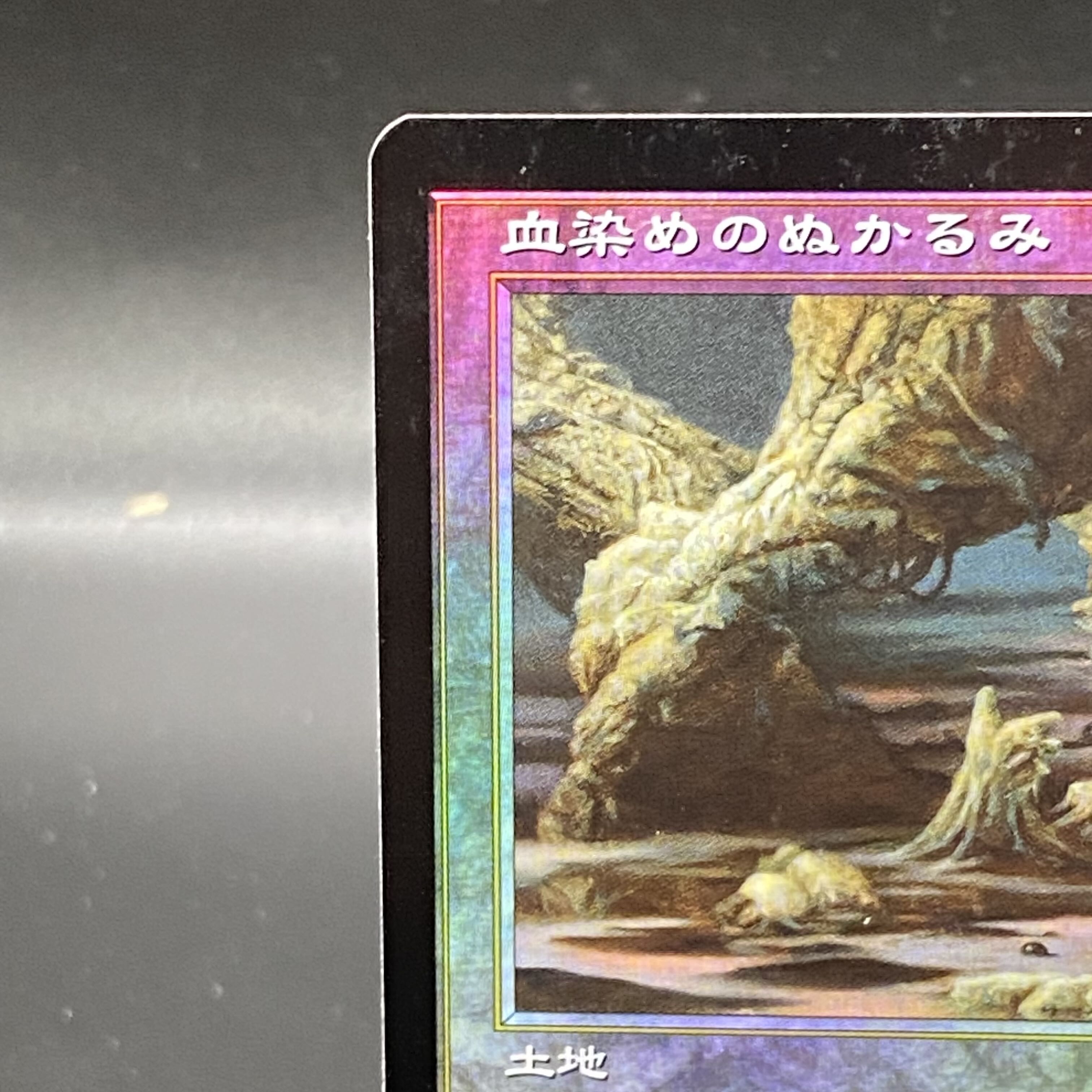 血染めのぬかるみ JP Foil レア 313/350 1枚の通販 土日祝休@magi公式