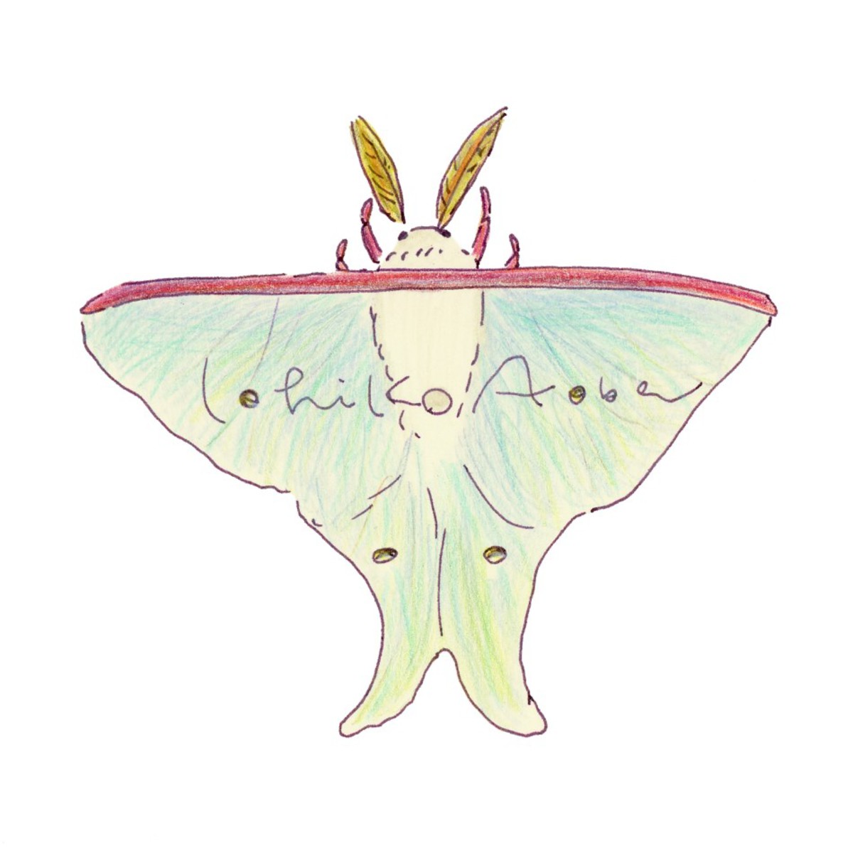 青葉市子、約2年ぶりオリジナル・アルバム『qp』10/24リリース決定